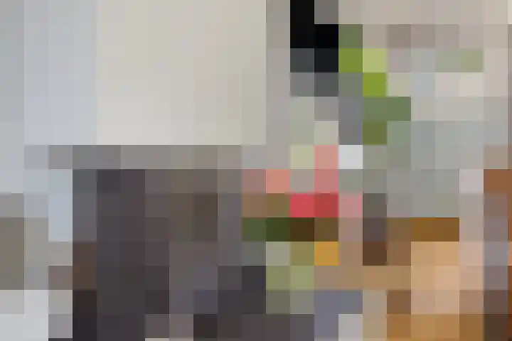 Het Slag 3 Zwartemeer thumbnail 8