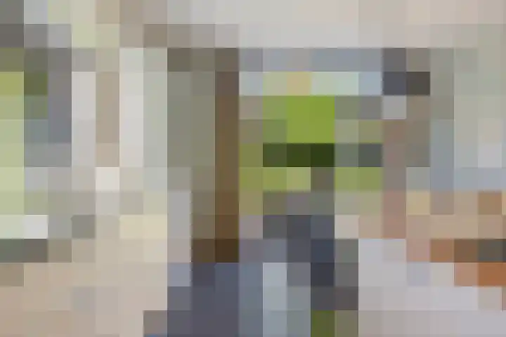 Het Slag 3 Zwartemeer thumbnail 9