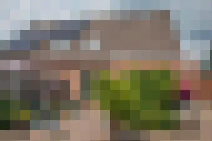 Het Slag 5 Schoonoord thumbnail 18