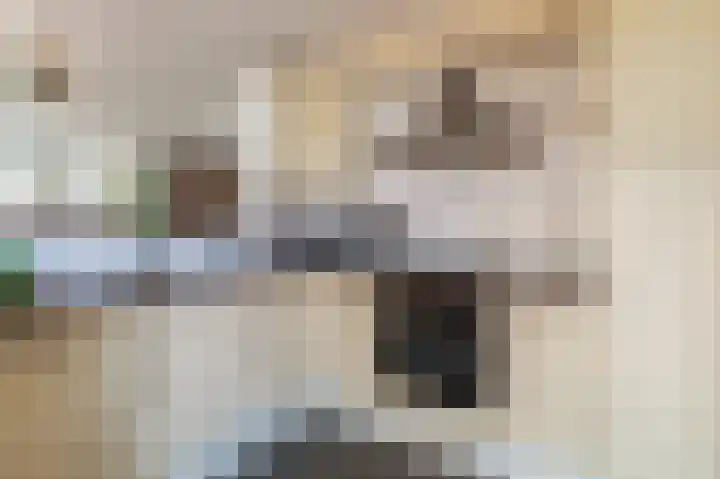 Het Slag 5 Schoonoord thumbnail 7