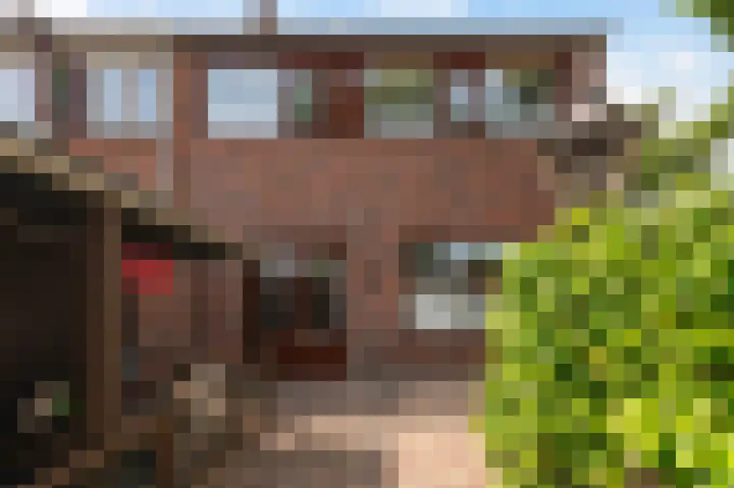 Het Slag 7 Drempt thumbnail 11