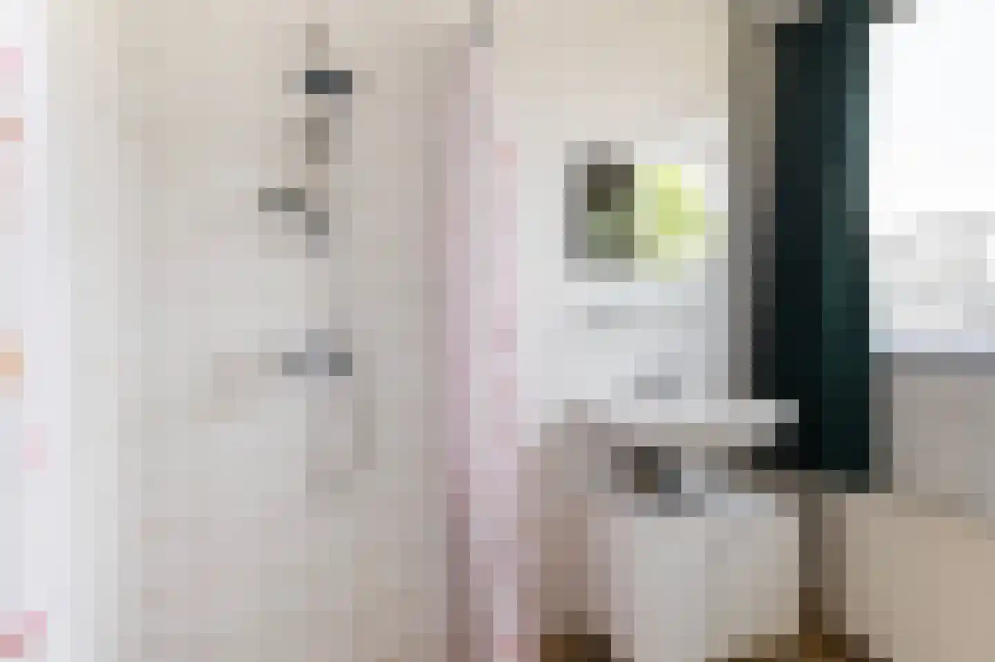 Het Slag 7 Drempt thumbnail 18