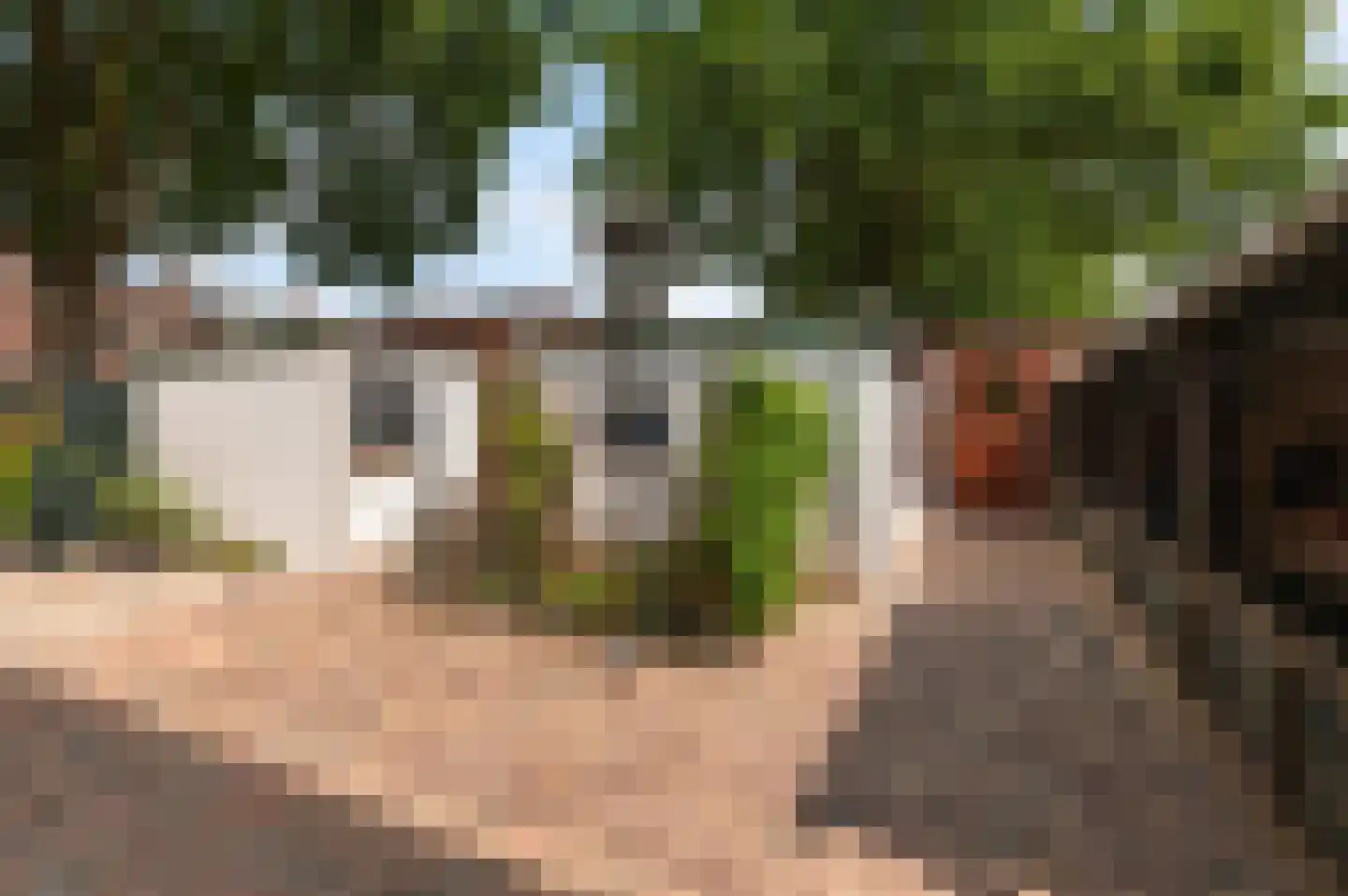 Het Slag 7 Drempt foto 2