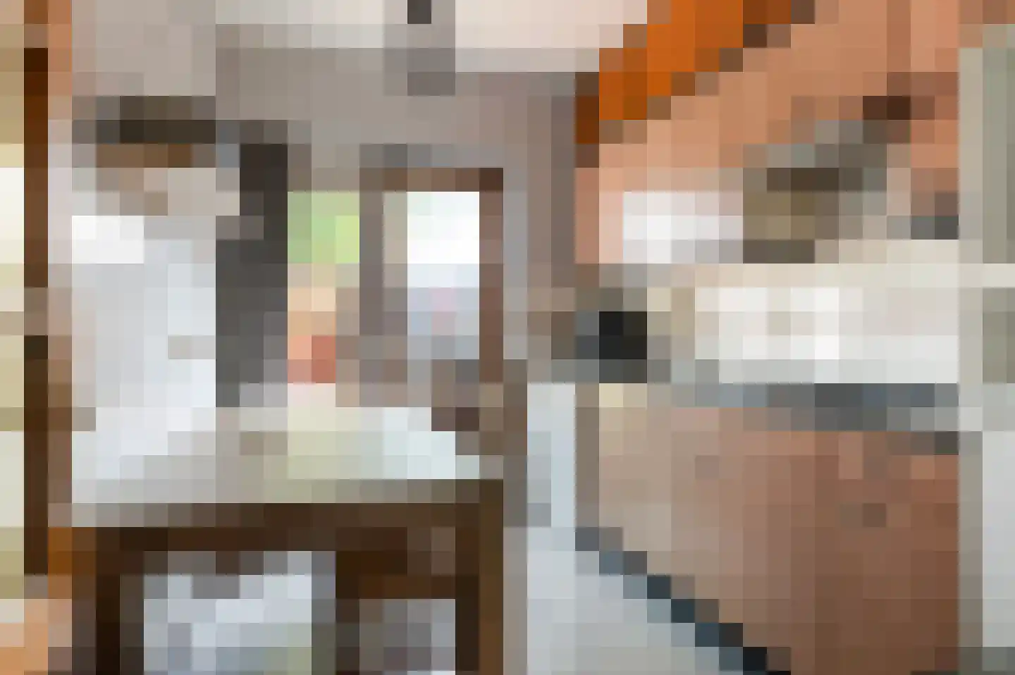 Het Slag 7 Drempt thumbnail 5