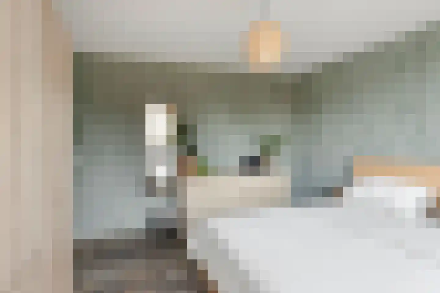 Het Slag 8 Drempt thumbnail 14