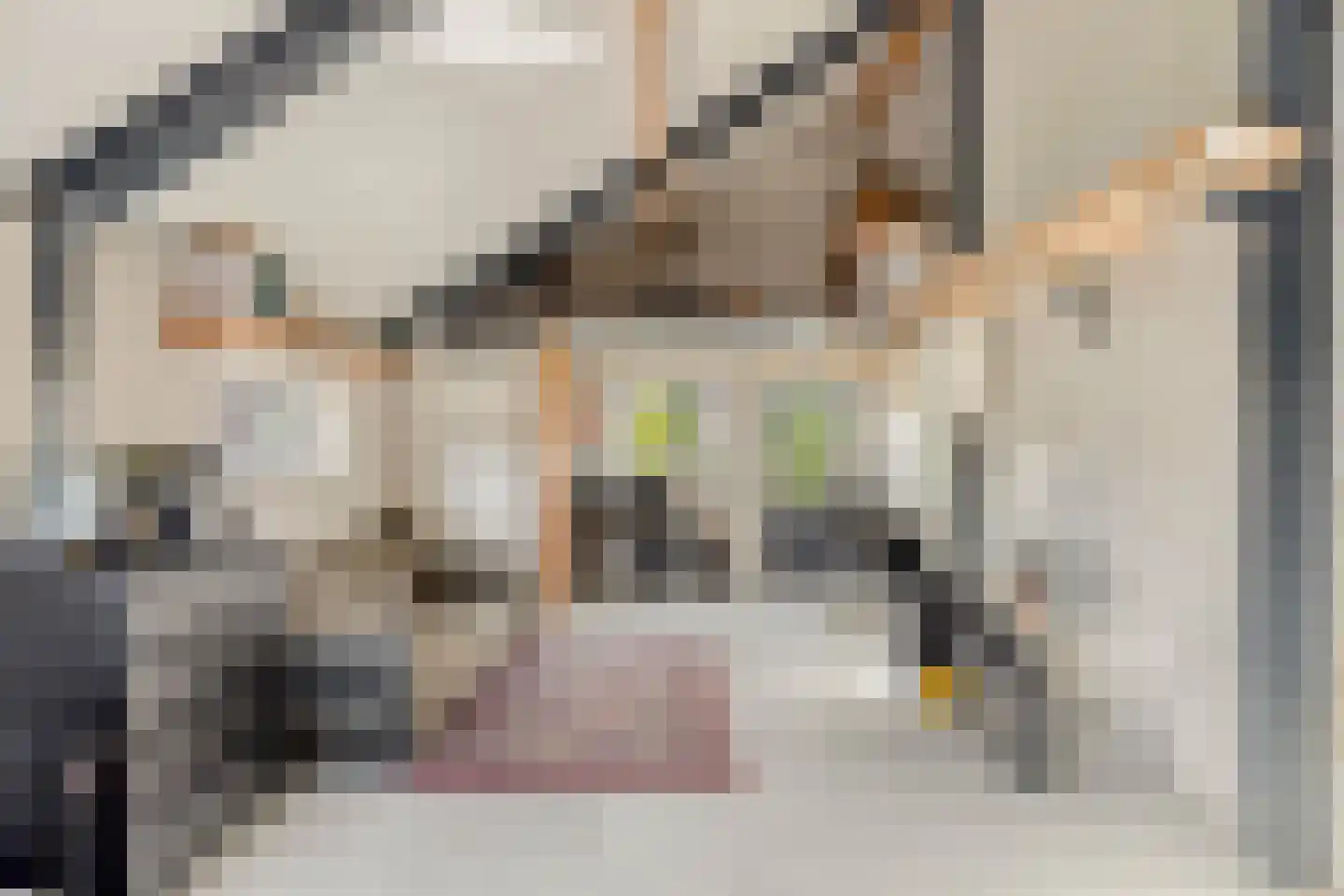 Het Slag 8 Drempt thumbnail 28