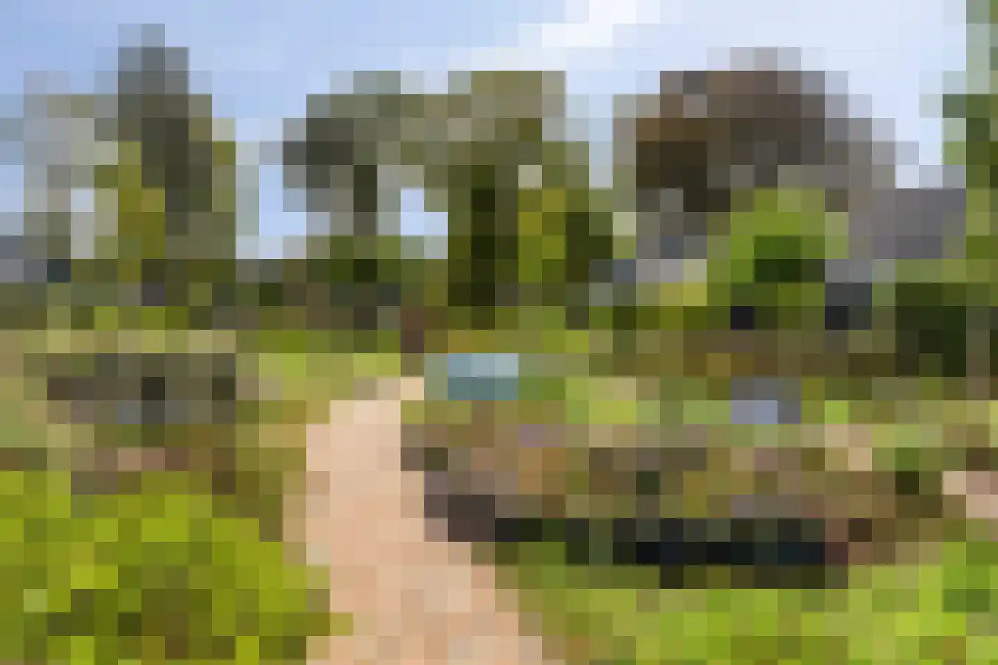 Het Slag 8 Drempt thumbnail 34