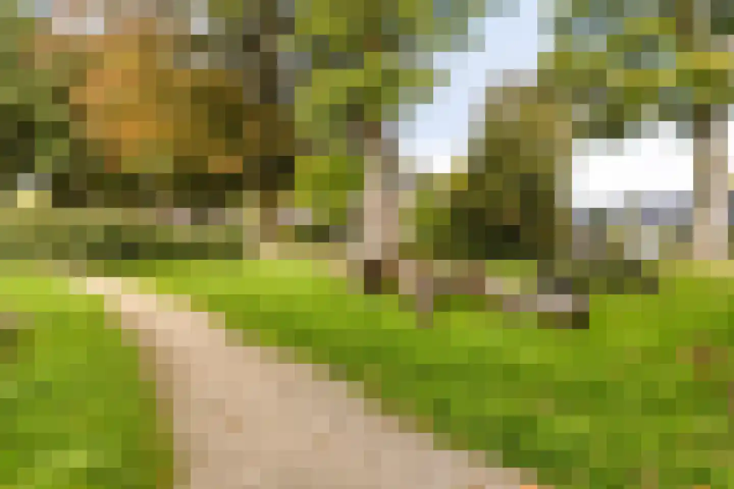 Het Slag 8 Drempt thumbnail 35