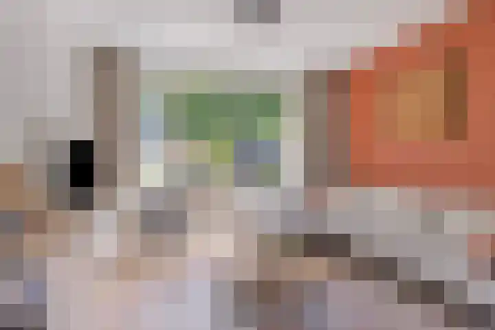 Het Slotje 9 Gemert thumbnail 12