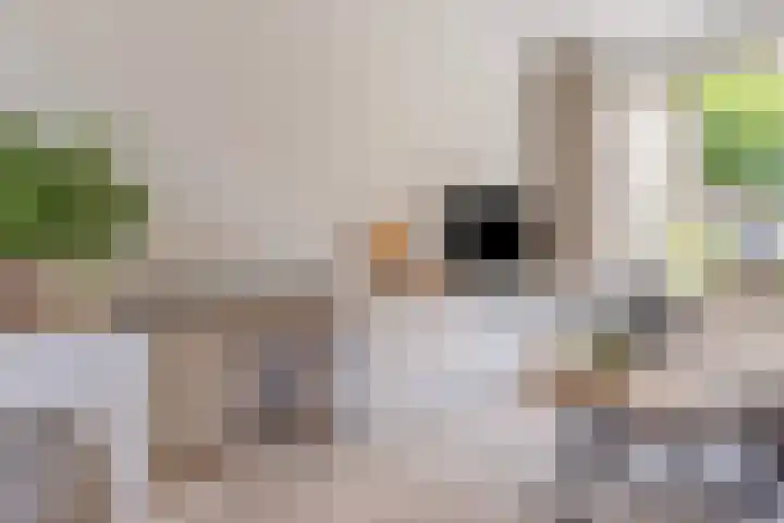 Het Slotje 9 Gemert thumbnail 13