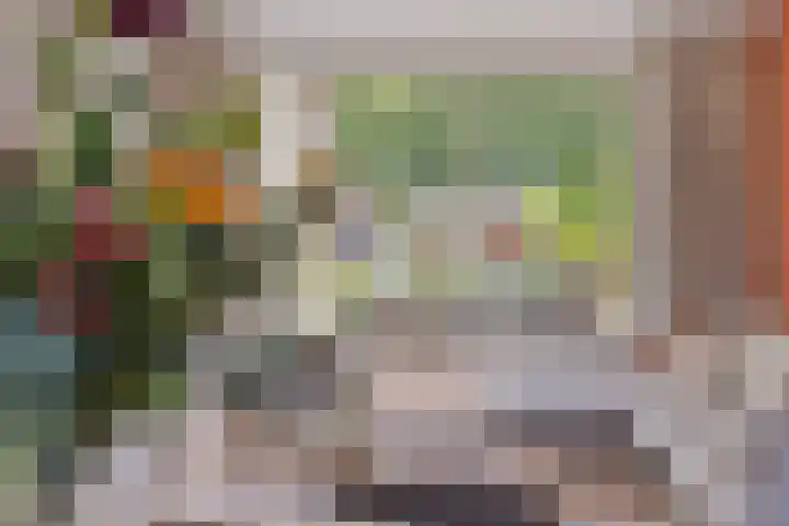 Het Slotje 9 Gemert thumbnail 14