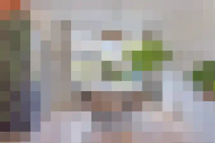 Het Slotje 9 Gemert thumbnail 16
