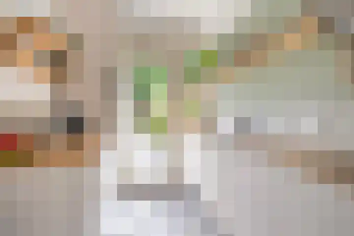 Het Slotje 9 Gemert thumbnail 17