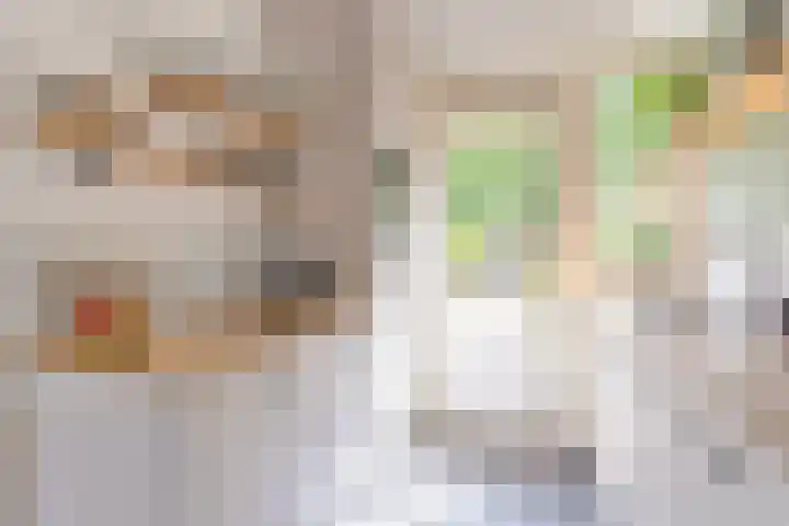 Het Slotje 9 Gemert thumbnail 19