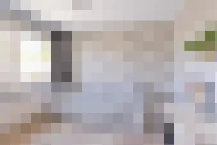 Het Slotje 9 Gemert thumbnail 25