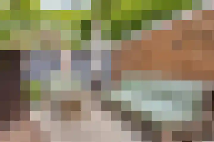 Het Slotje 9 Gemert thumbnail 32