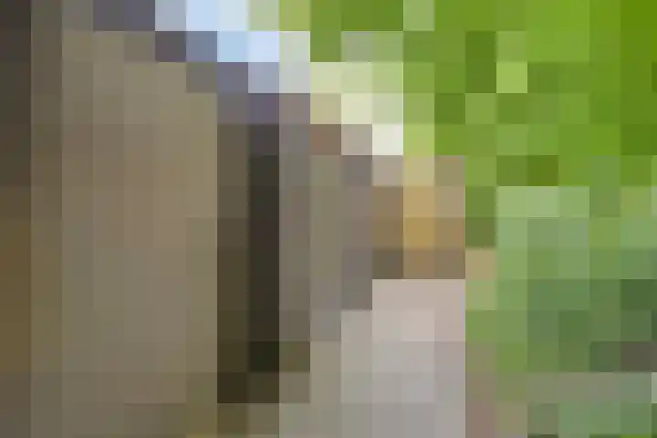 Het Slotje 9 Gemert thumbnail 34