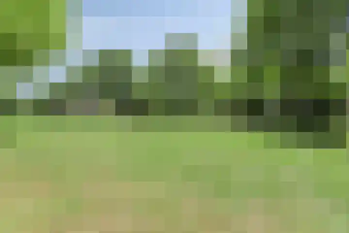Het Slotje 9 Gemert thumbnail 35