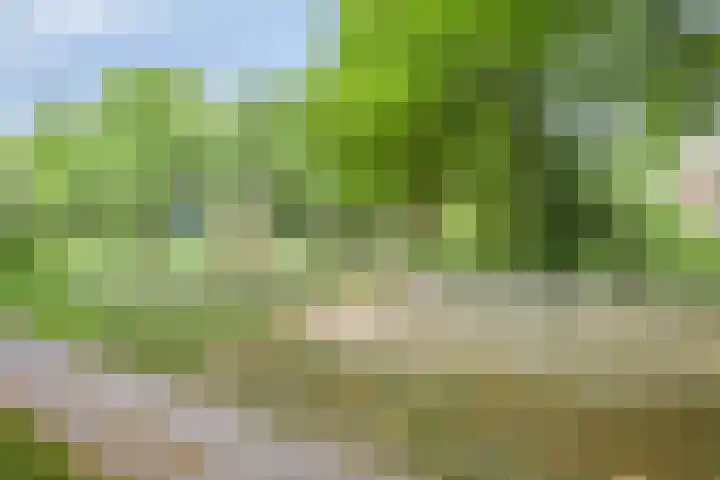 Het Slotje 9 Gemert thumbnail 36