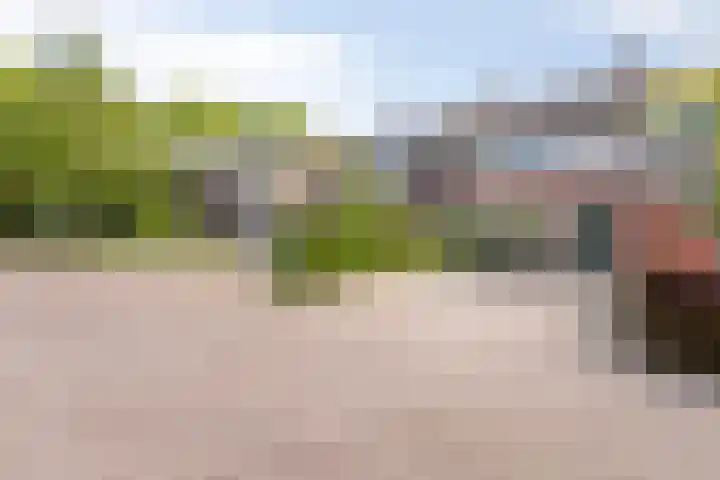 Het Slotje 9 Gemert thumbnail 6