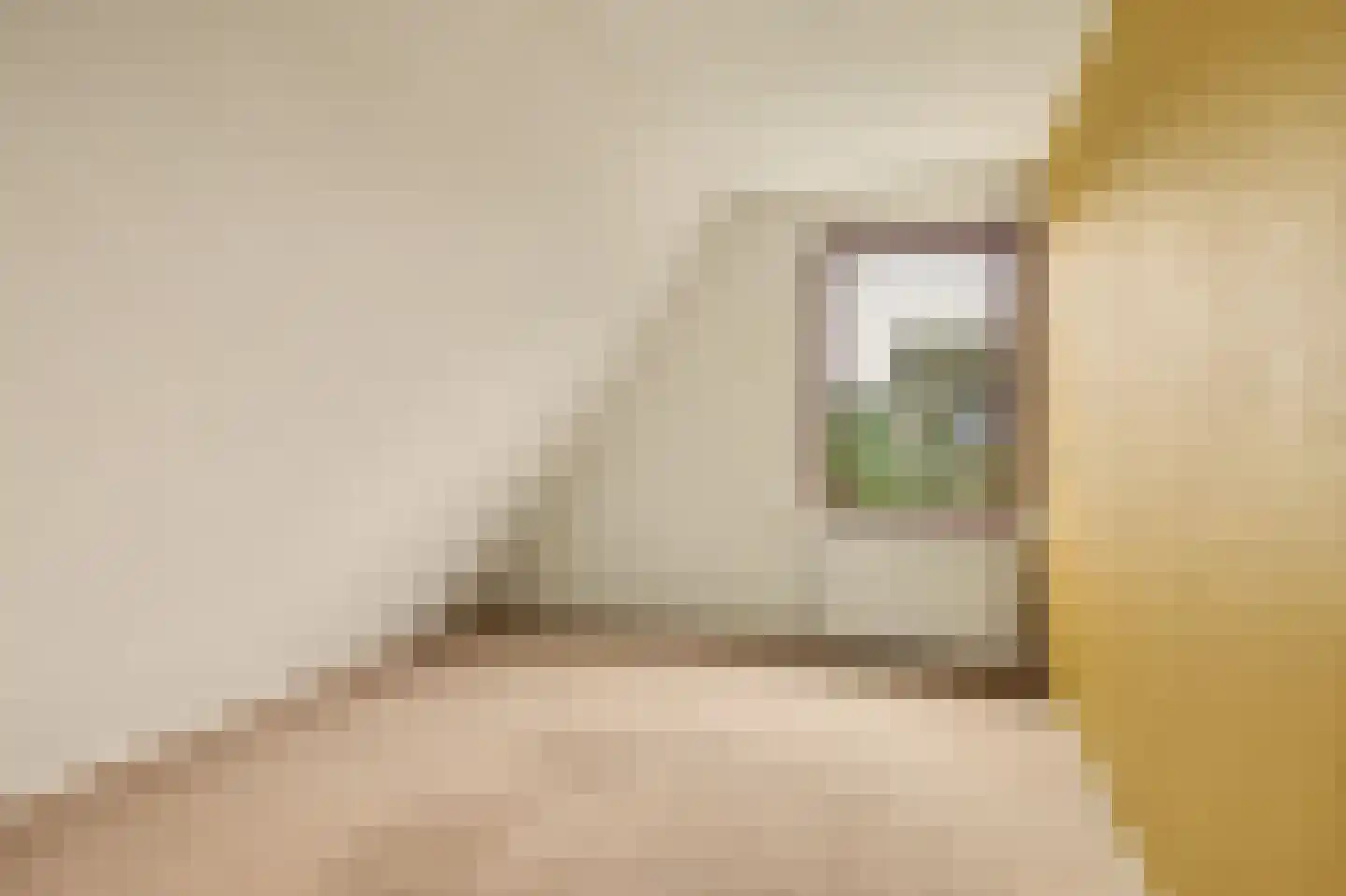 Het Smallegange 2 Kortgene thumbnail 25