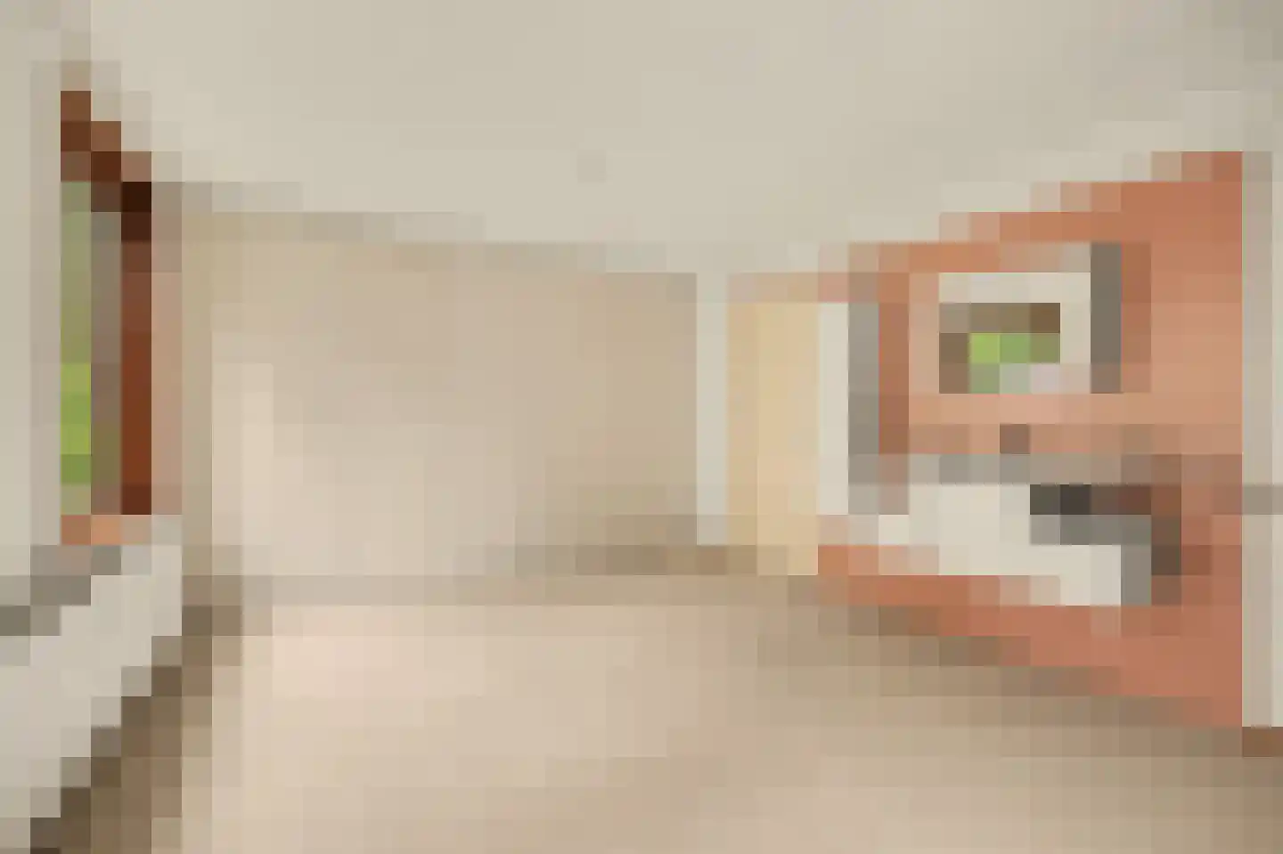 Het Smallegange 2 Kortgene thumbnail 27