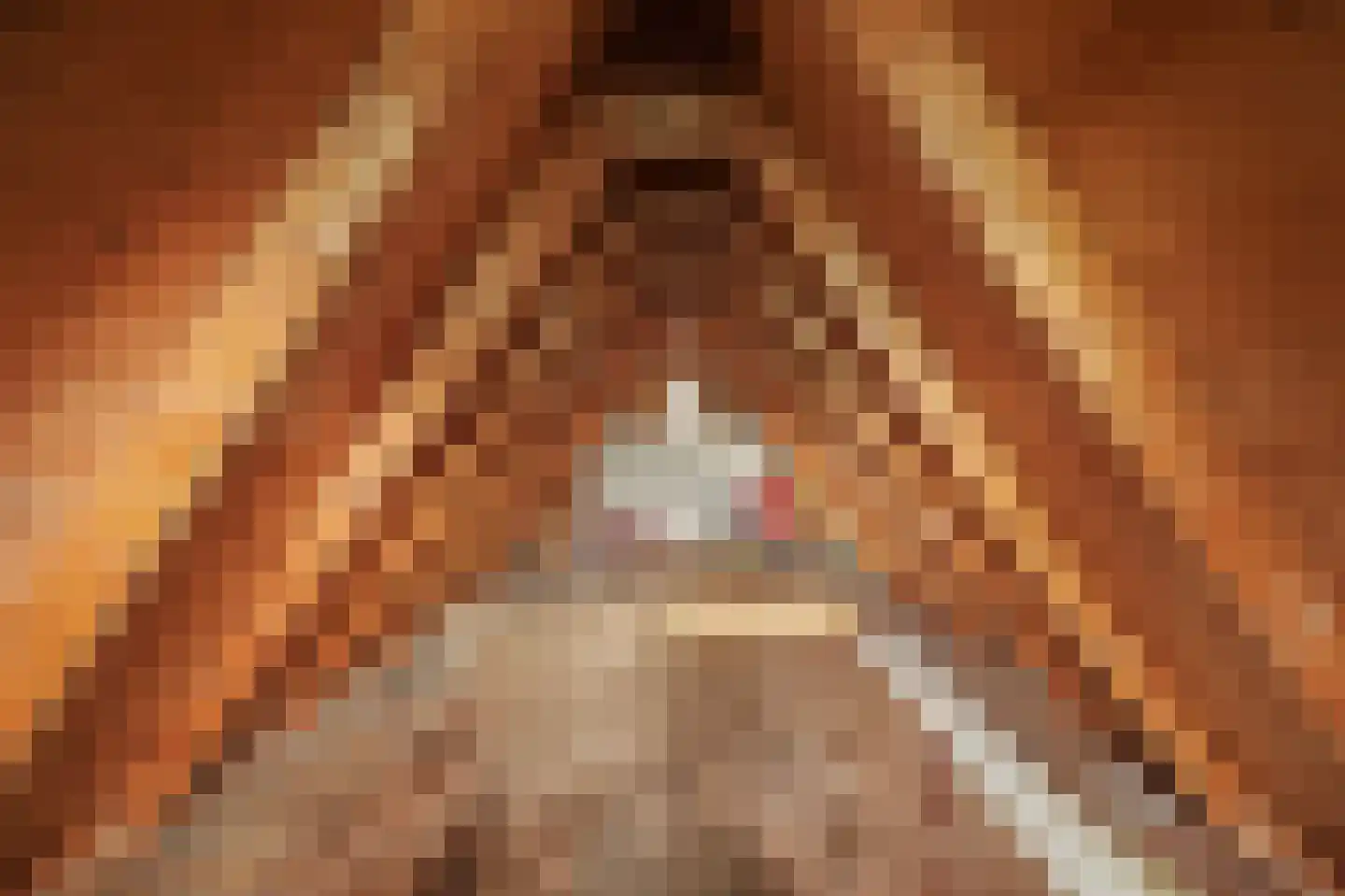 Het Smallegange 2 Kortgene thumbnail 33