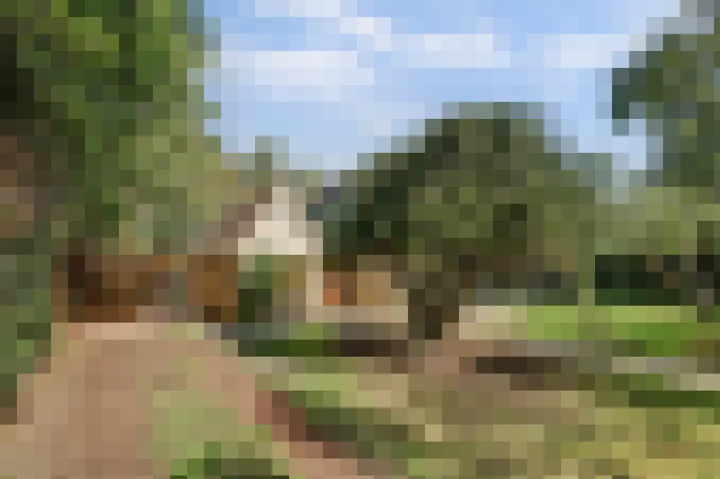 Het Smallegange 2 Kortgene thumbnail 6