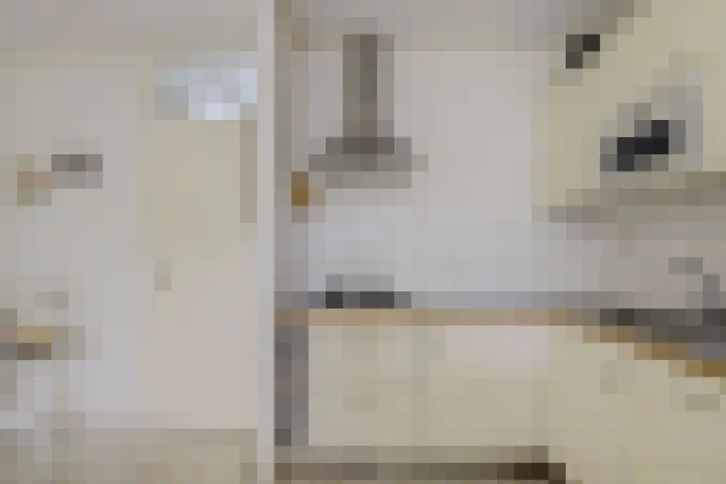Het Smallegange 5 Kortgene thumbnail 13