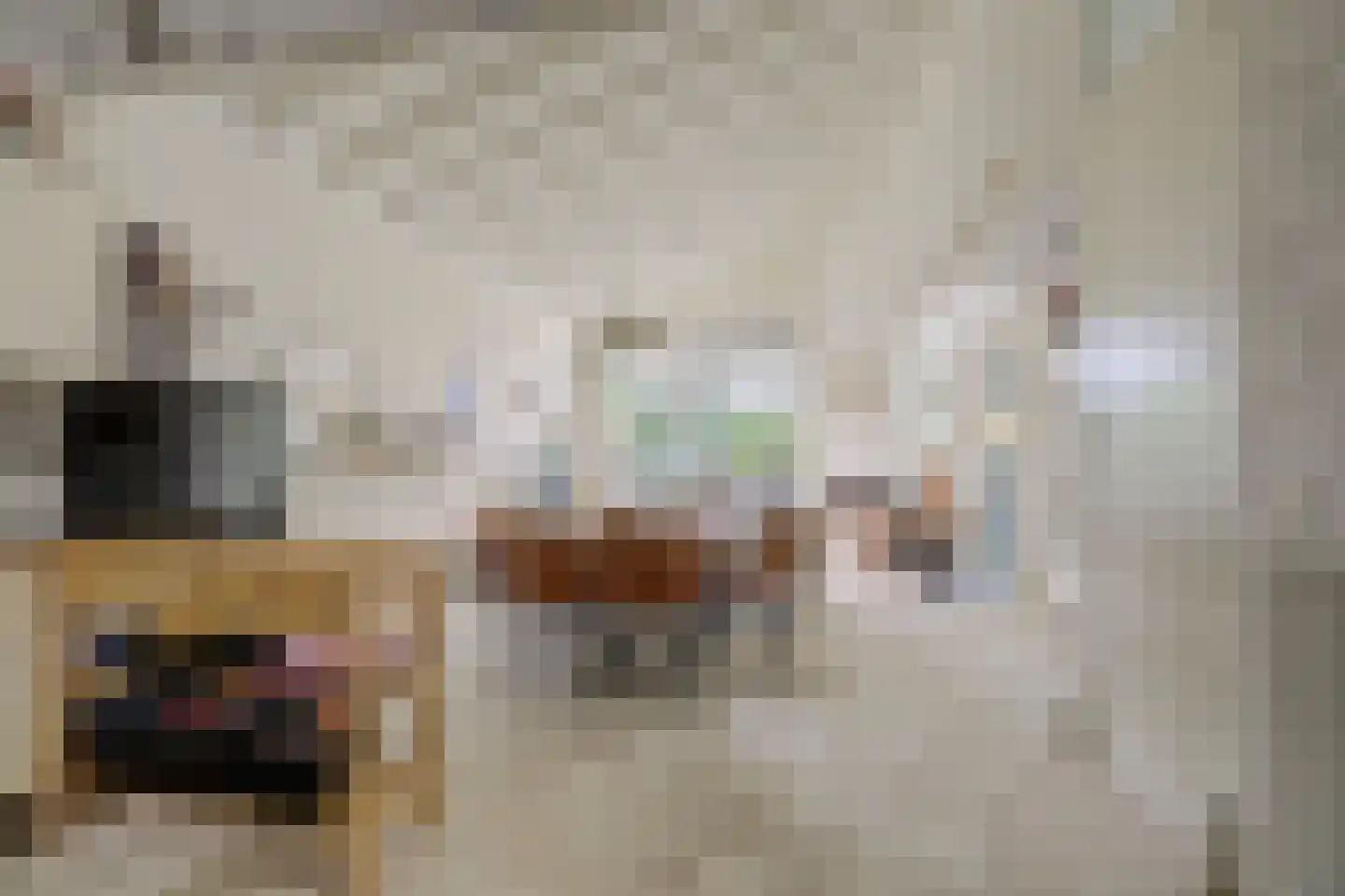 Het Smallegange 5 Kortgene foto 2