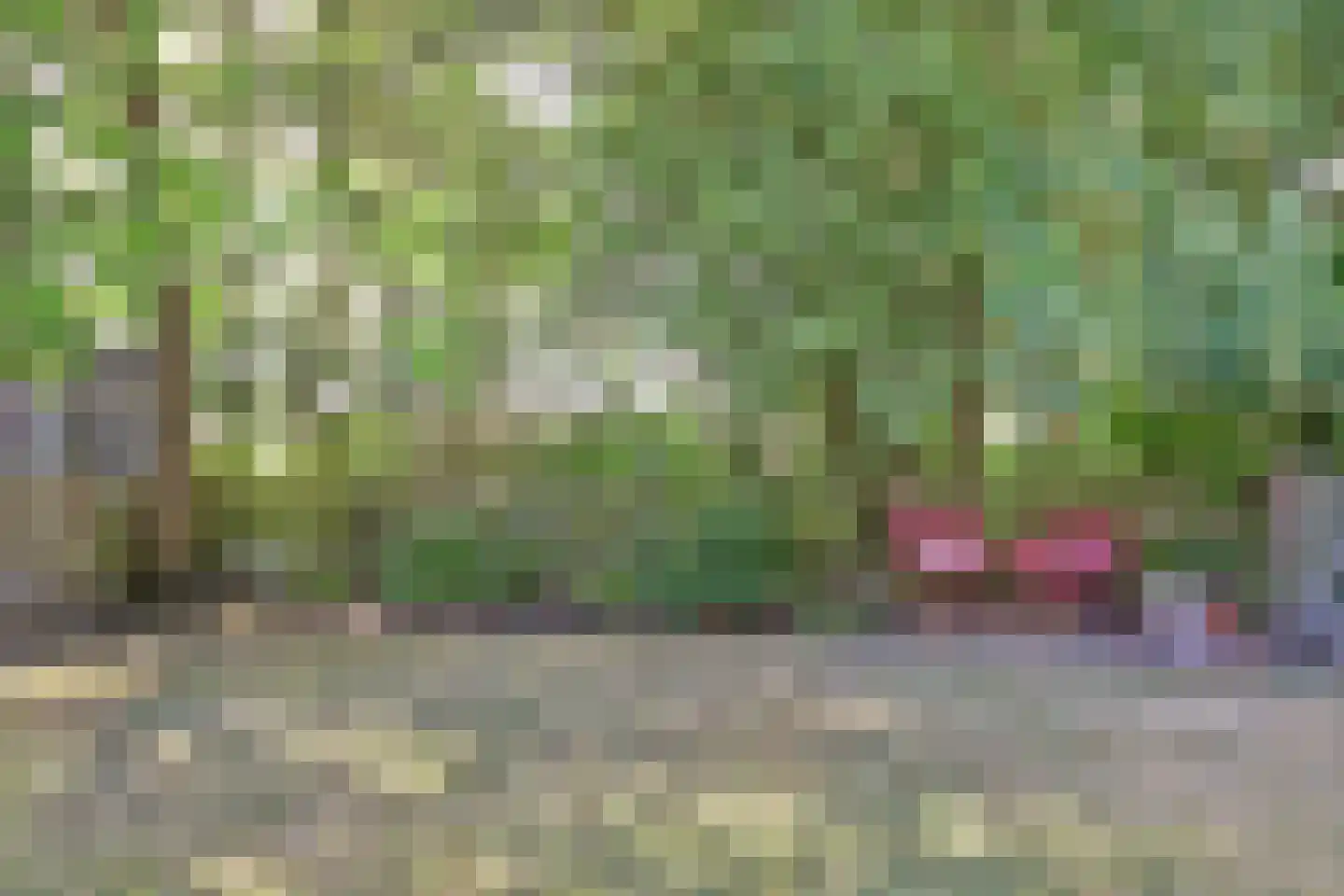Het Smallegange 5 Kortgene thumbnail 25