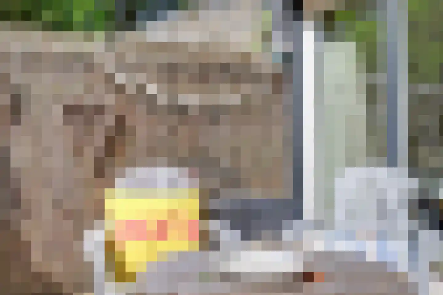 Het Smallegange 5 Kortgene thumbnail 27