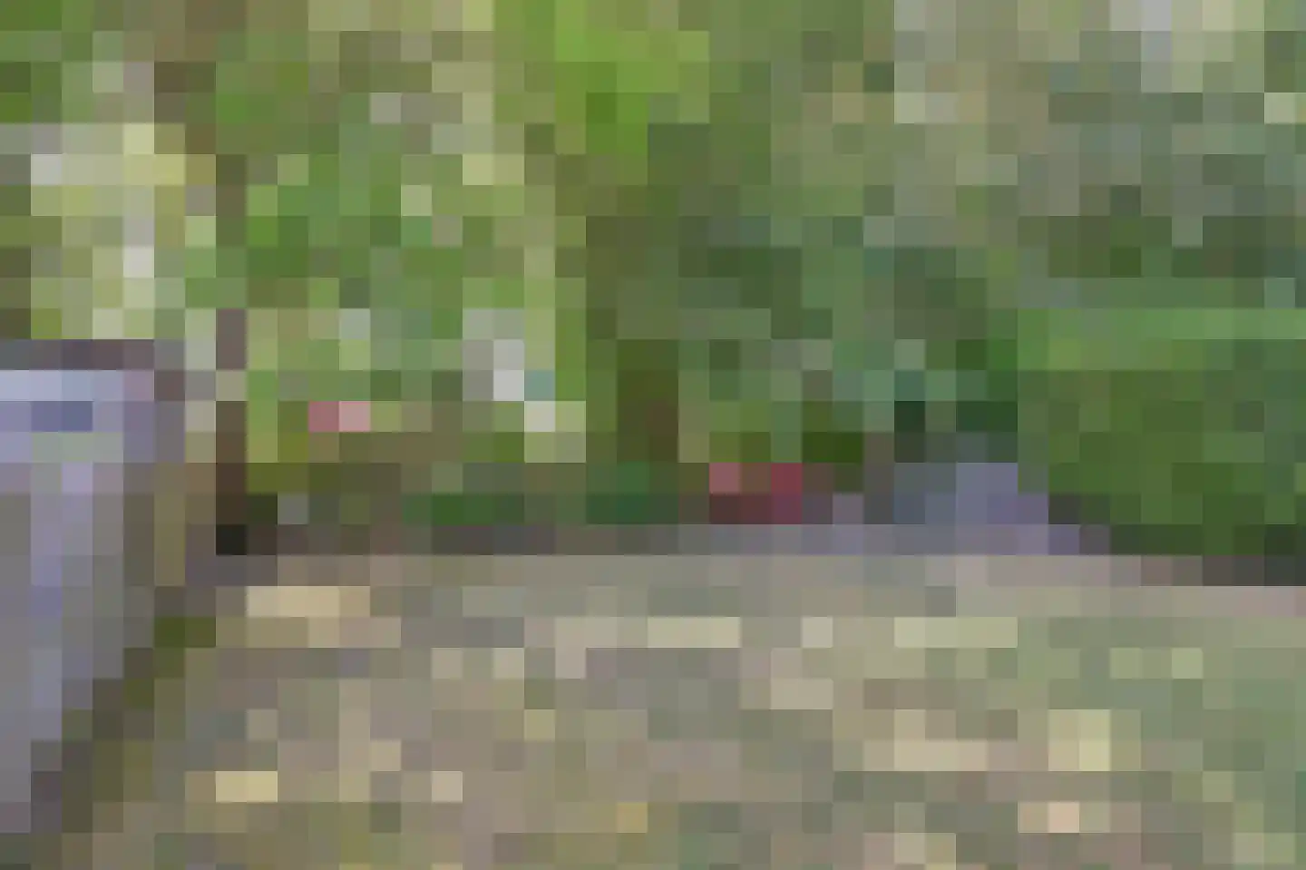 Het Smallegange 5 Kortgene thumbnail 29