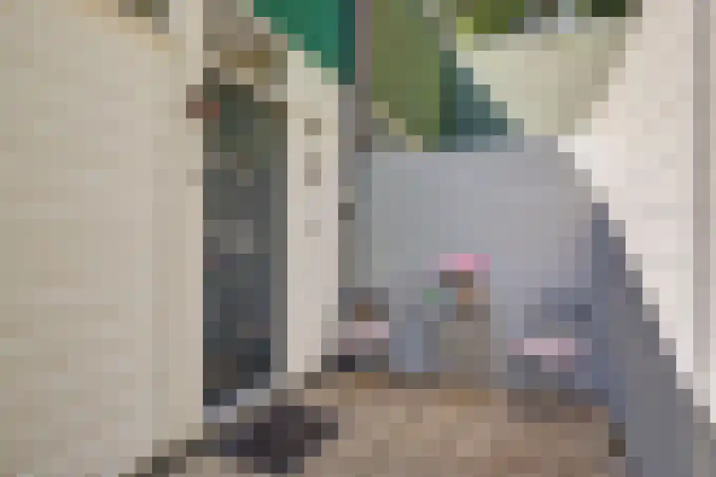 Het Smallegange 5 Kortgene thumbnail 5