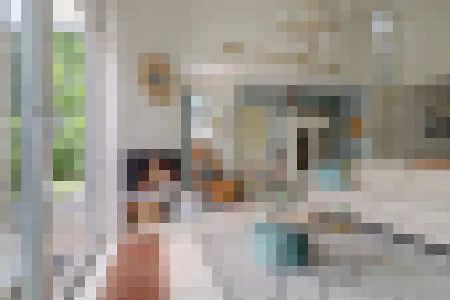 Het Smallegange 5 Kortgene thumbnail 9