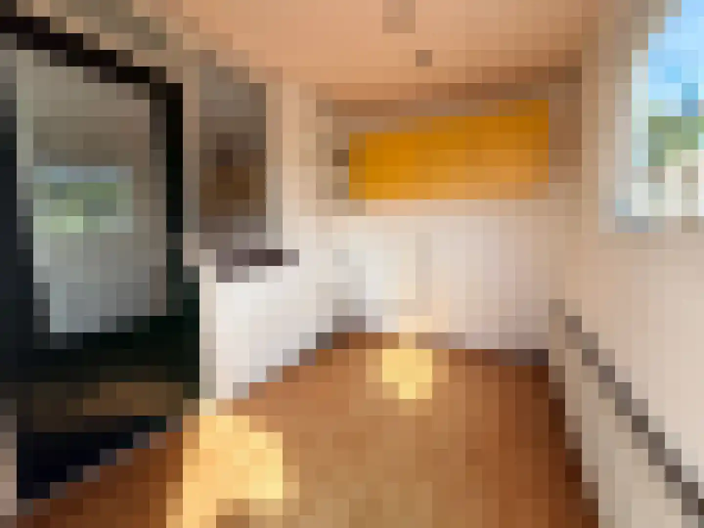 Het Som 34 Zeewolde thumbnail 14