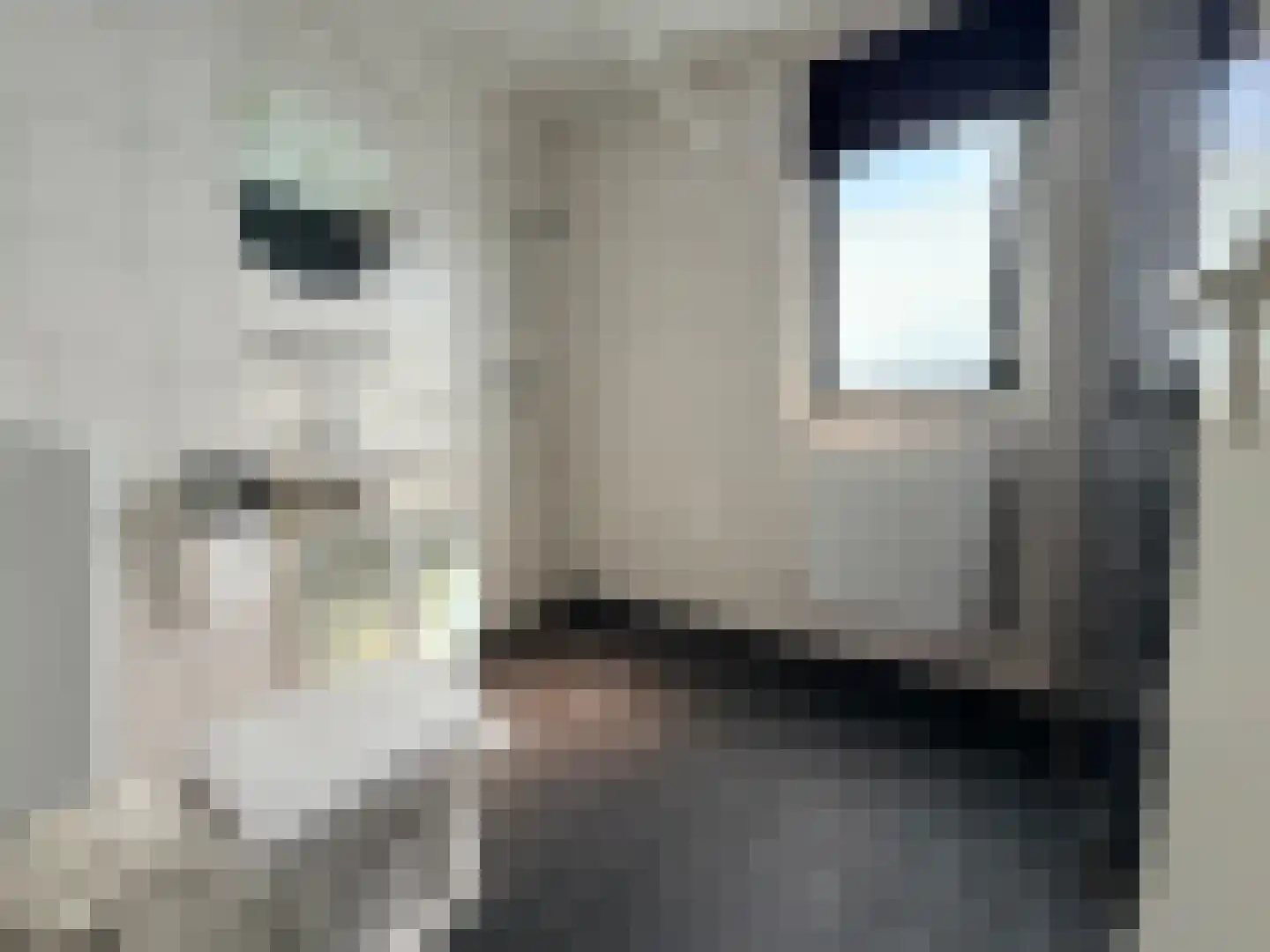 Het Som 34 Zeewolde thumbnail 22