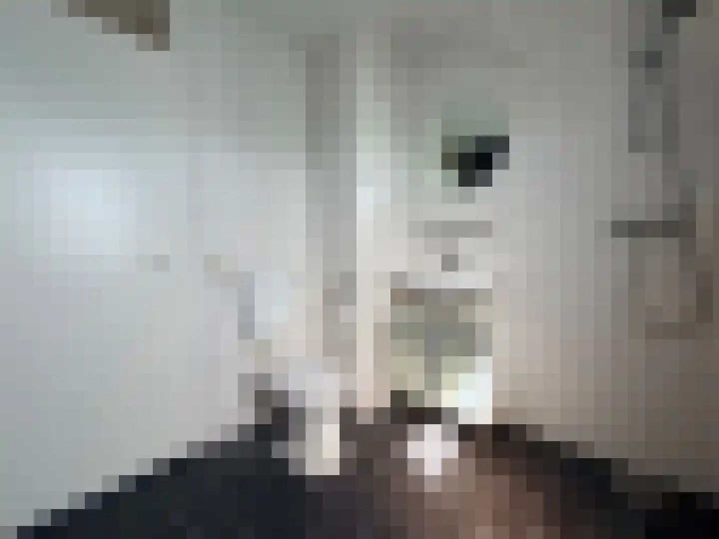 Het Som 34 Zeewolde thumbnail 23
