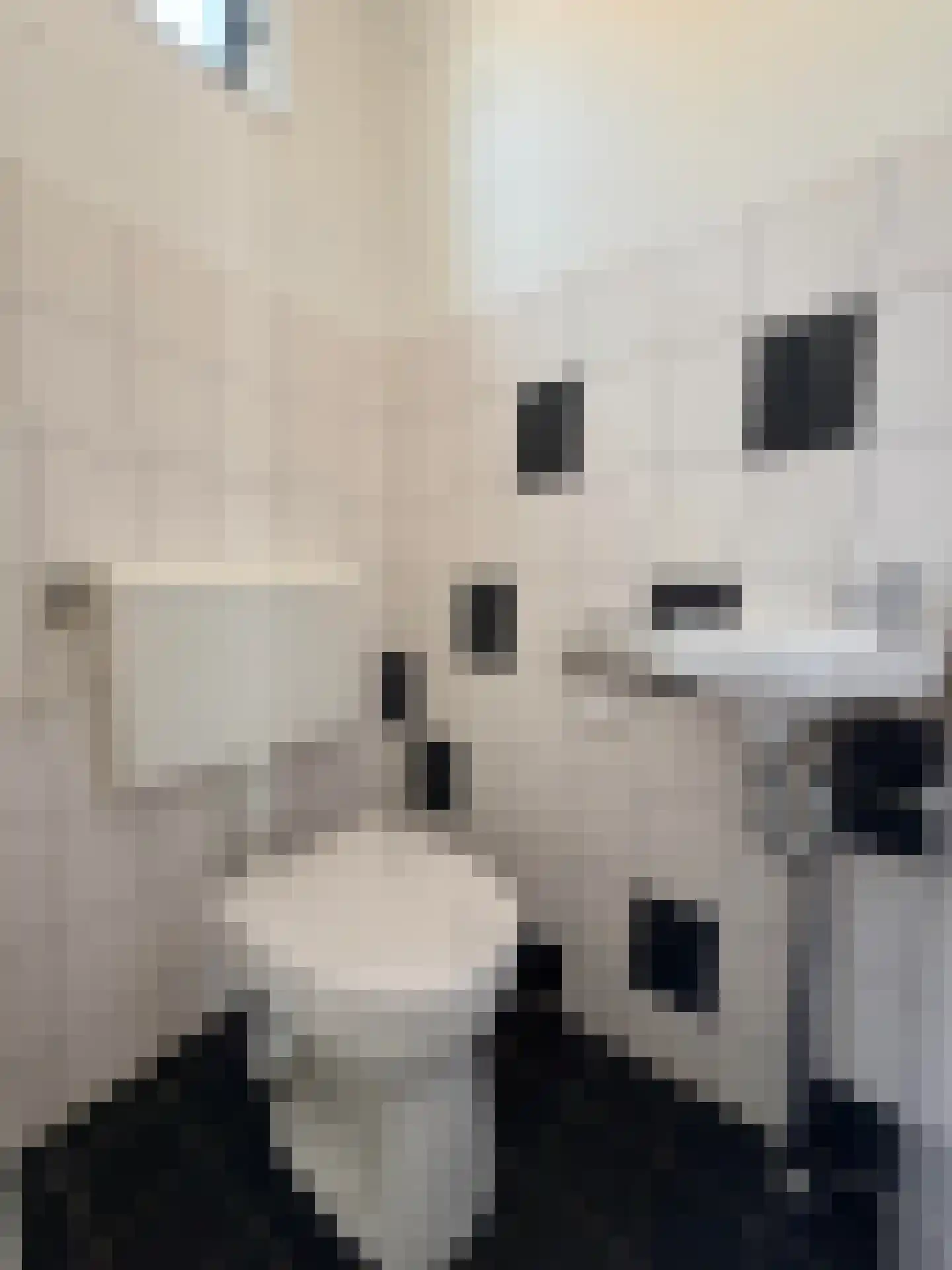Het Som 34 Zeewolde thumbnail 6