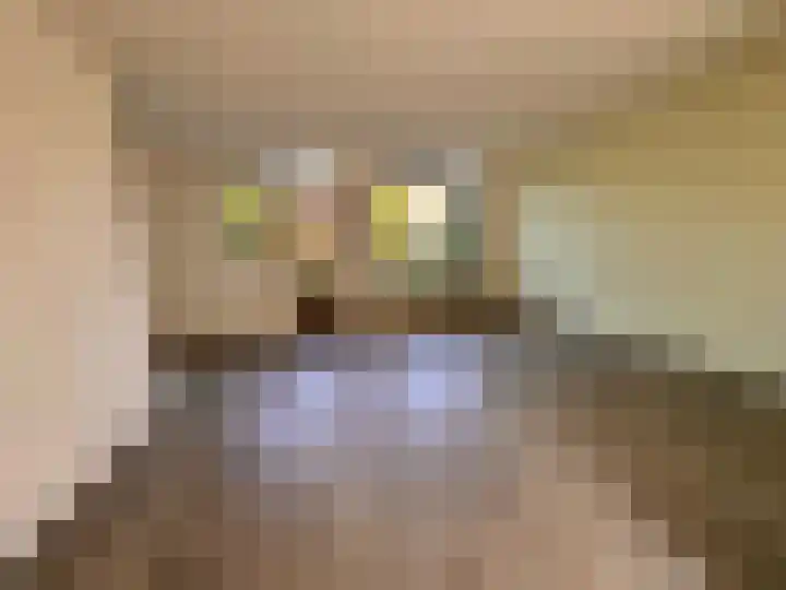 Het Som 35 Zeewolde thumbnail 10