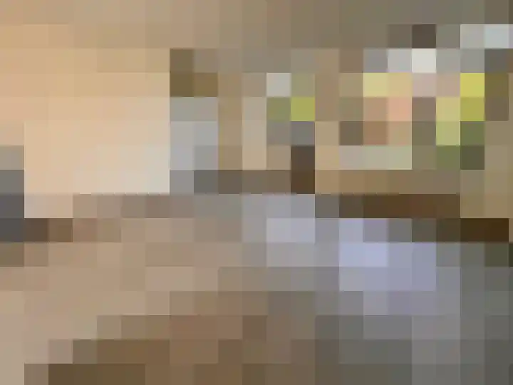 Het Som 35 Zeewolde thumbnail 11