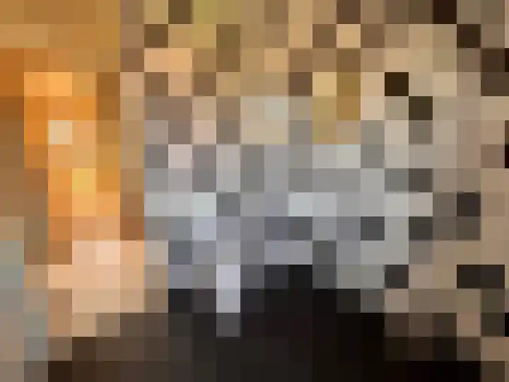 Het Som 35 Zeewolde thumbnail 15