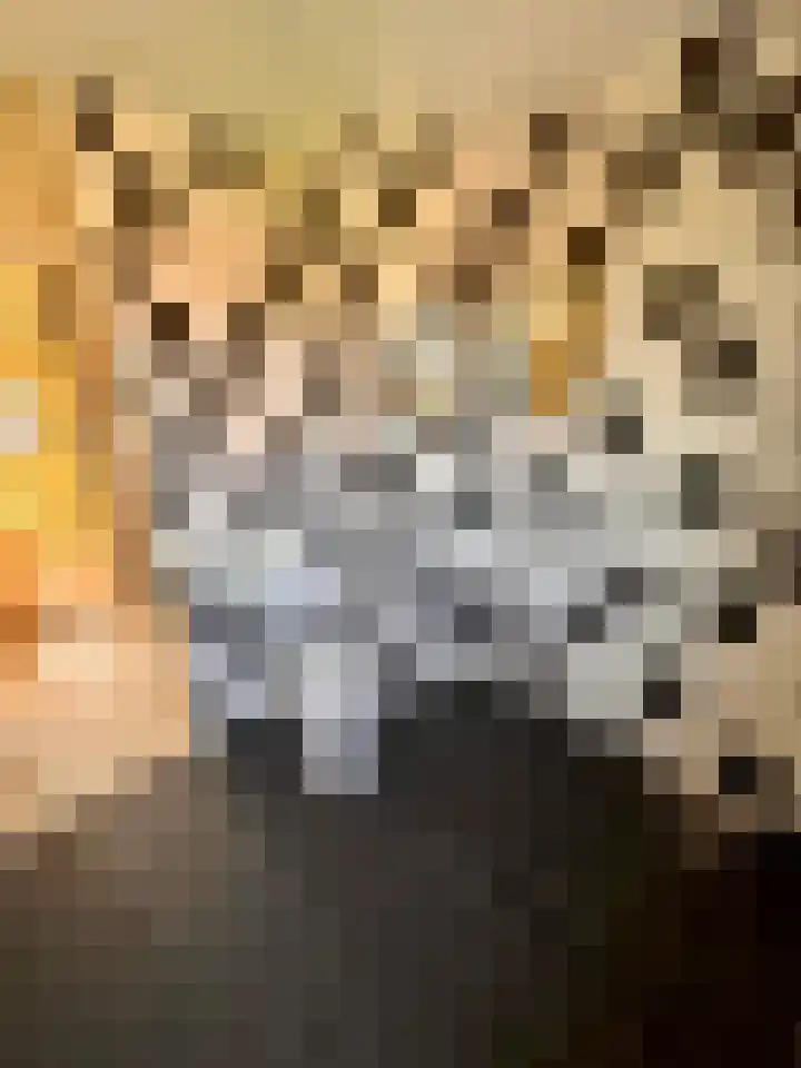 Het Som 35 Zeewolde thumbnail 16