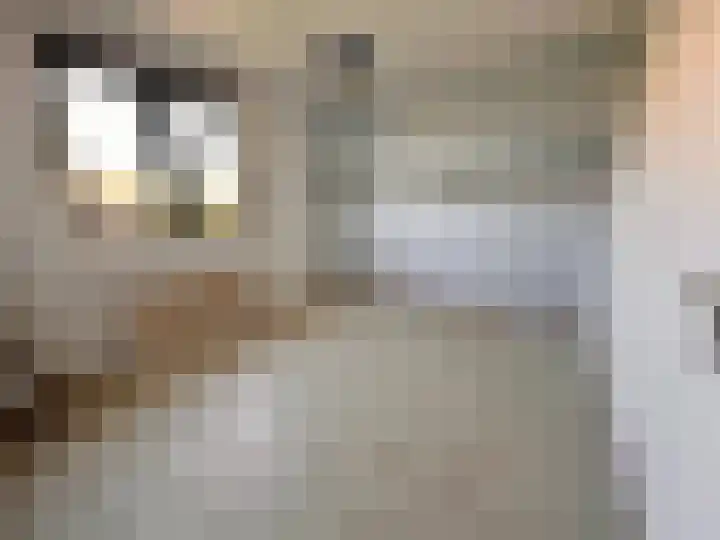 Het Som 35 Zeewolde thumbnail 17