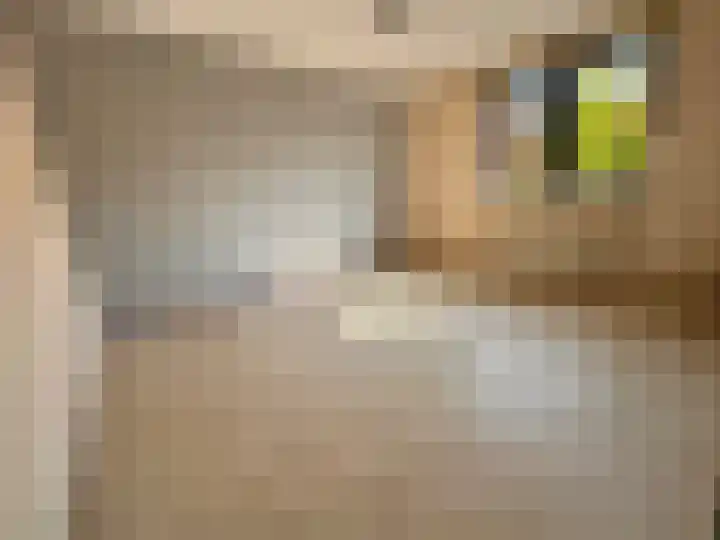 Het Som 35 Zeewolde thumbnail 19