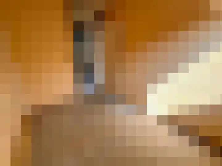 Het Som 35 Zeewolde thumbnail 23