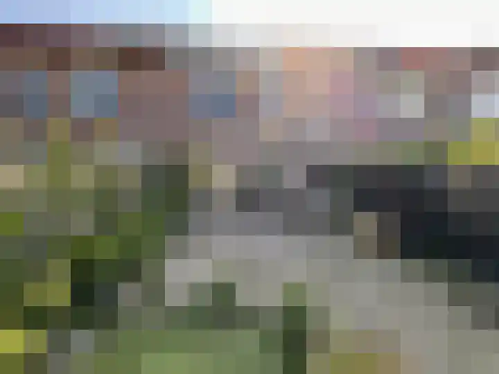 Het Som 35 Zeewolde thumbnail 27