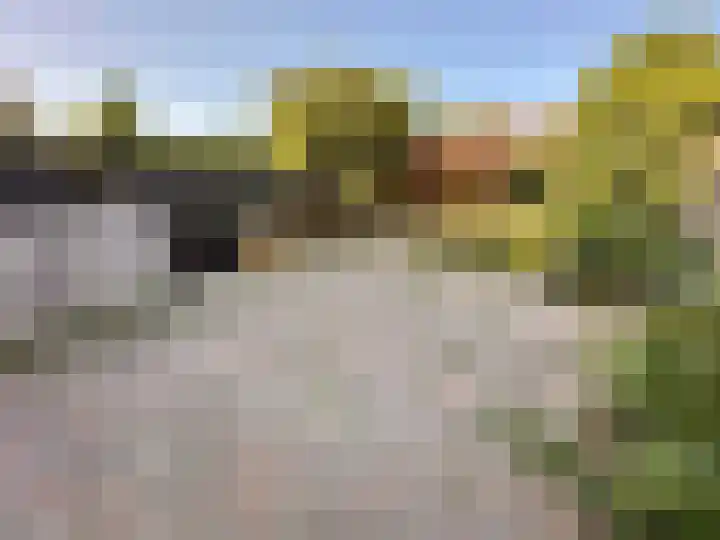 Het Som 35 Zeewolde thumbnail 29