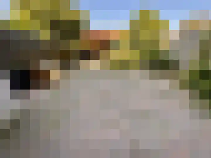Het Som 35 Zeewolde thumbnail 4