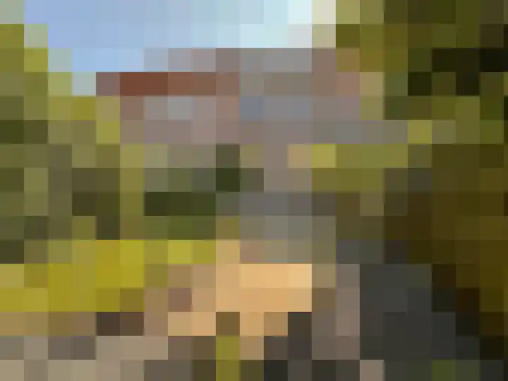 Het Som 35 Zeewolde thumbnail 5